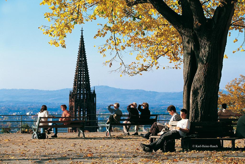 Designhotel Am Stadtgarten Freiburg im Breisgau Ngoại thất bức ảnh